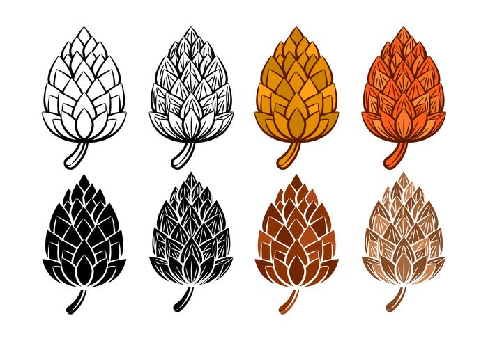 Free Vector Pine Cones