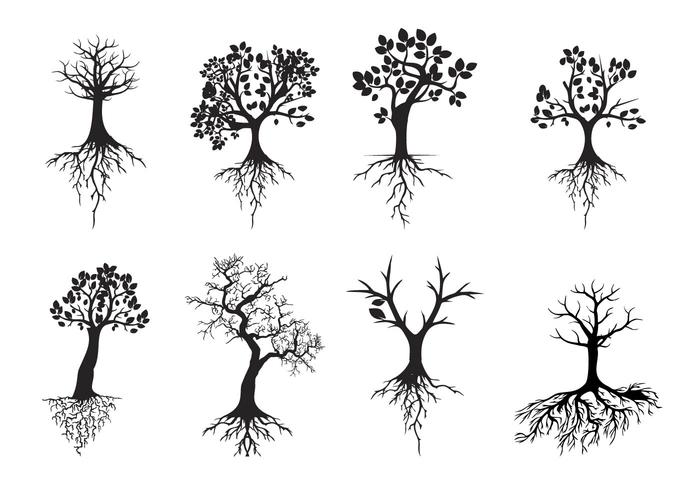 Livre preto Silhuetas da árvore com raízes Vector