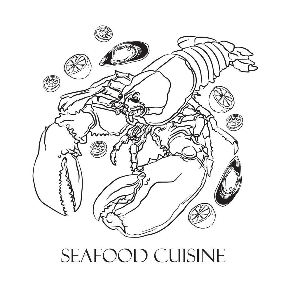 ilustração vetorial de lagosta desenhada à mão, perfeita para o menu do restaurante mural de decoração de parede e o logotipo do restaurante de frutos do mar vetor