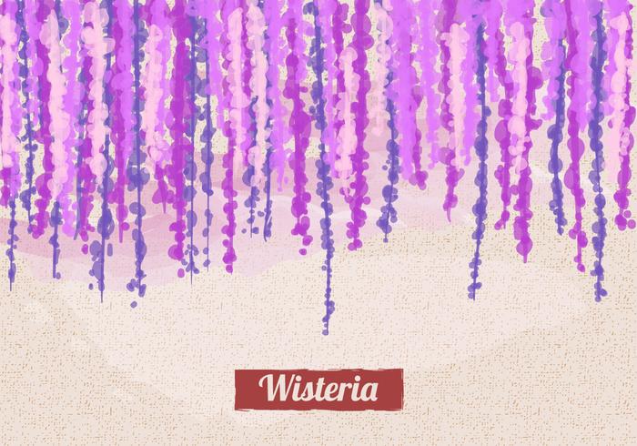 Background Wisteria Flower vetor