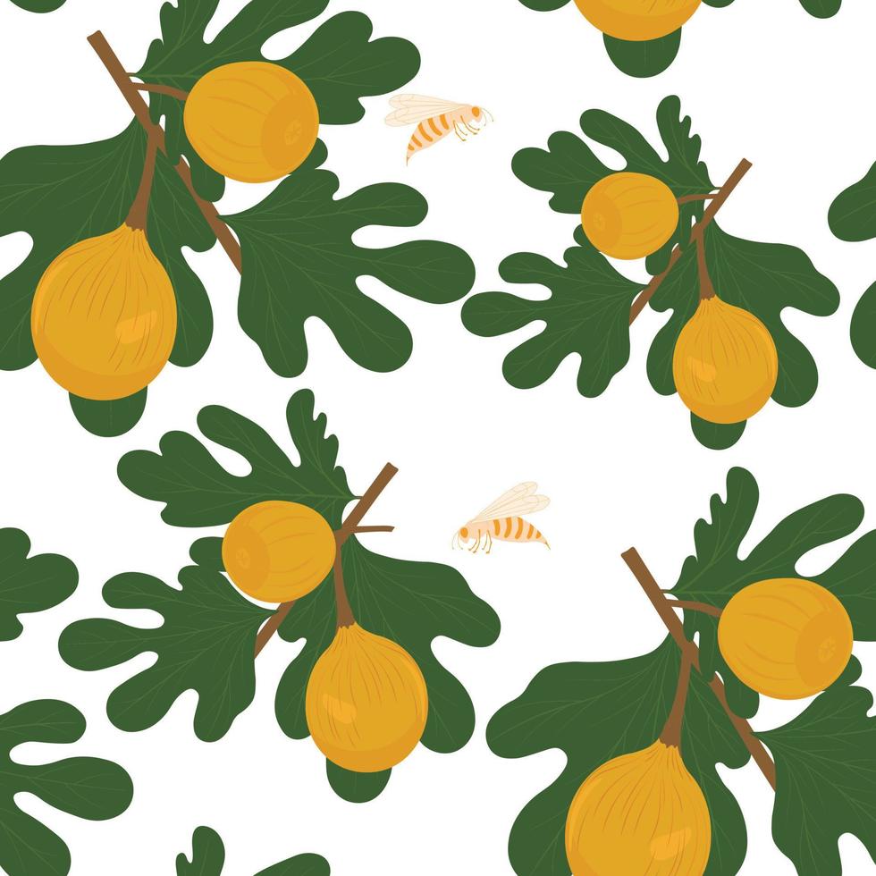 frutos de figo em um galho. ilustração vetorial. padrão sem emenda. papel de parede de verão, frutas maduras, suculentas e doces. vetor