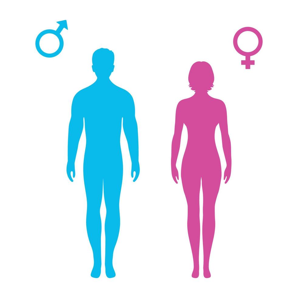 ilustração de silhueta de homem e mulher com símbolo de gênero vetor