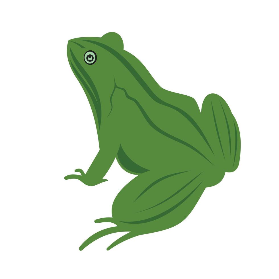 imagem de ícone de ilustração vetorial animal sapo verde vetor