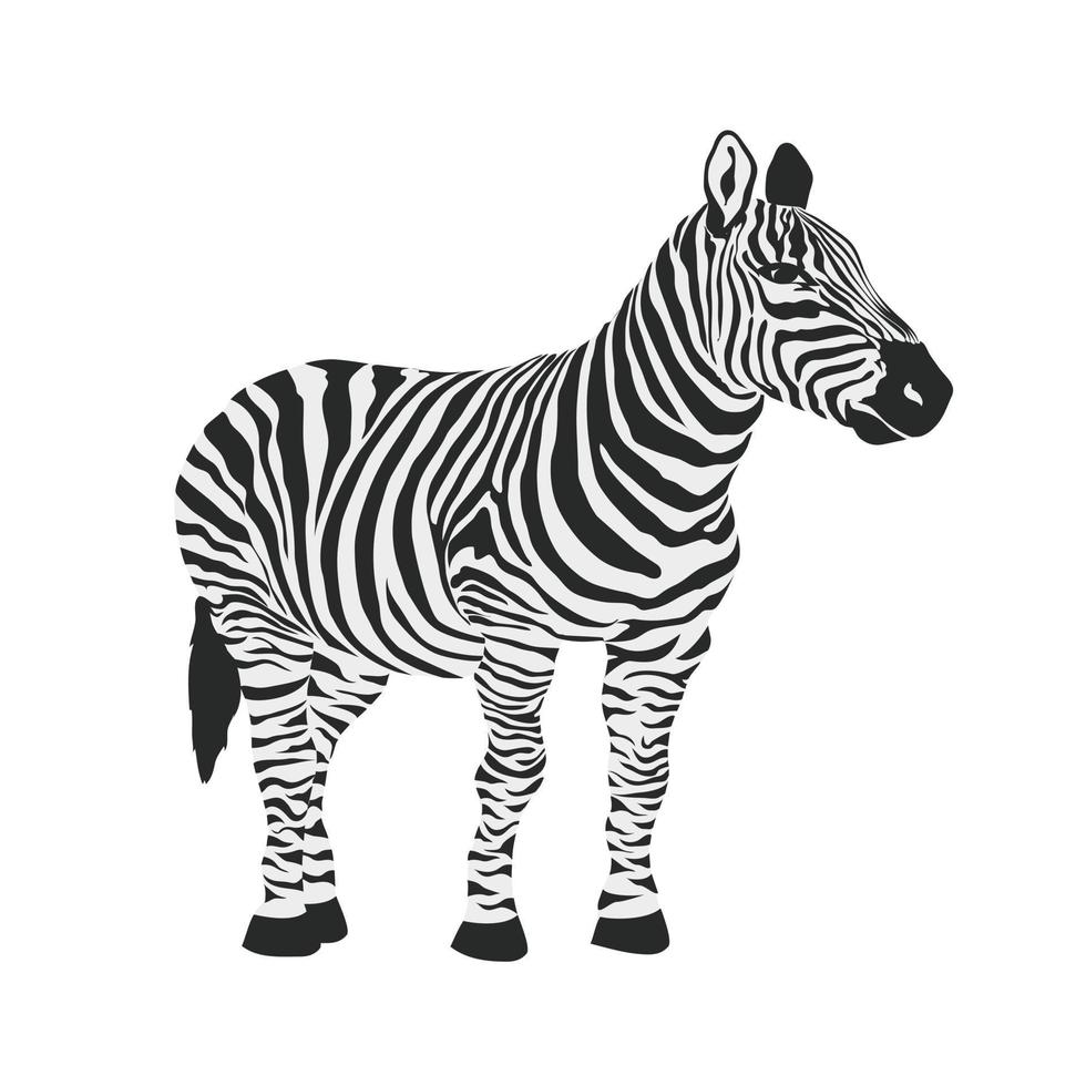 imagem de ícone de ilustração vetorial animal zebra vetor