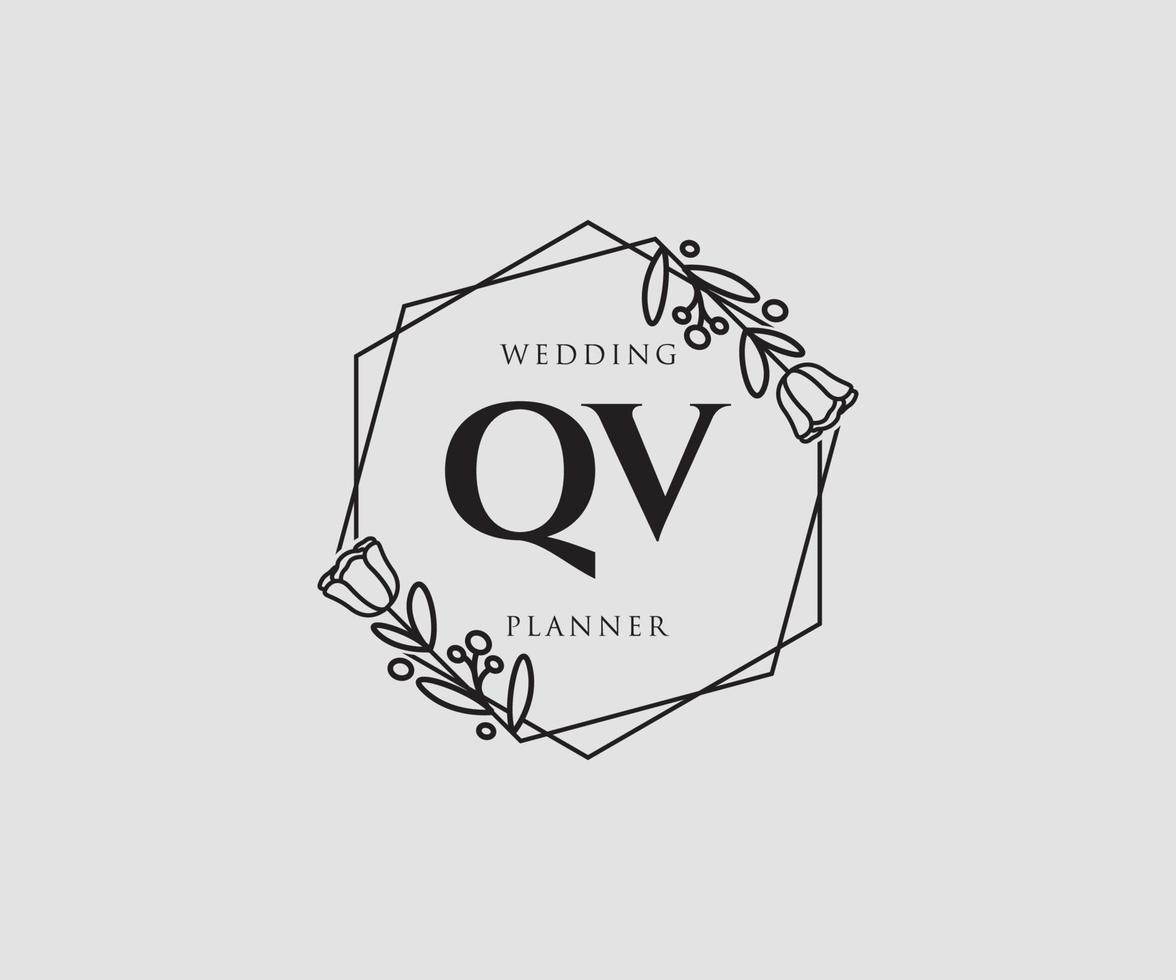 logotipo feminino qv inicial. utilizável para logotipos de natureza, salão, spa, cosméticos e beleza. elemento de modelo de design de logotipo de vetor plana.