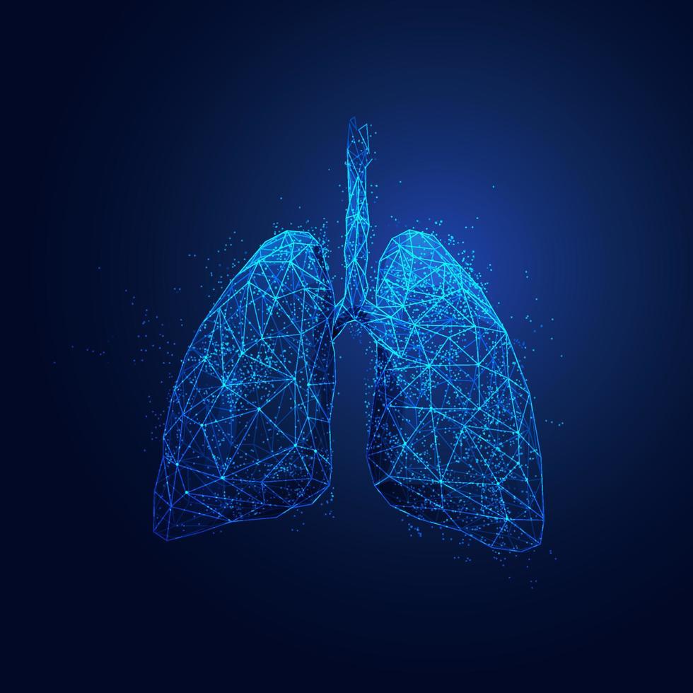 pulmões médicos poligonais vetor
