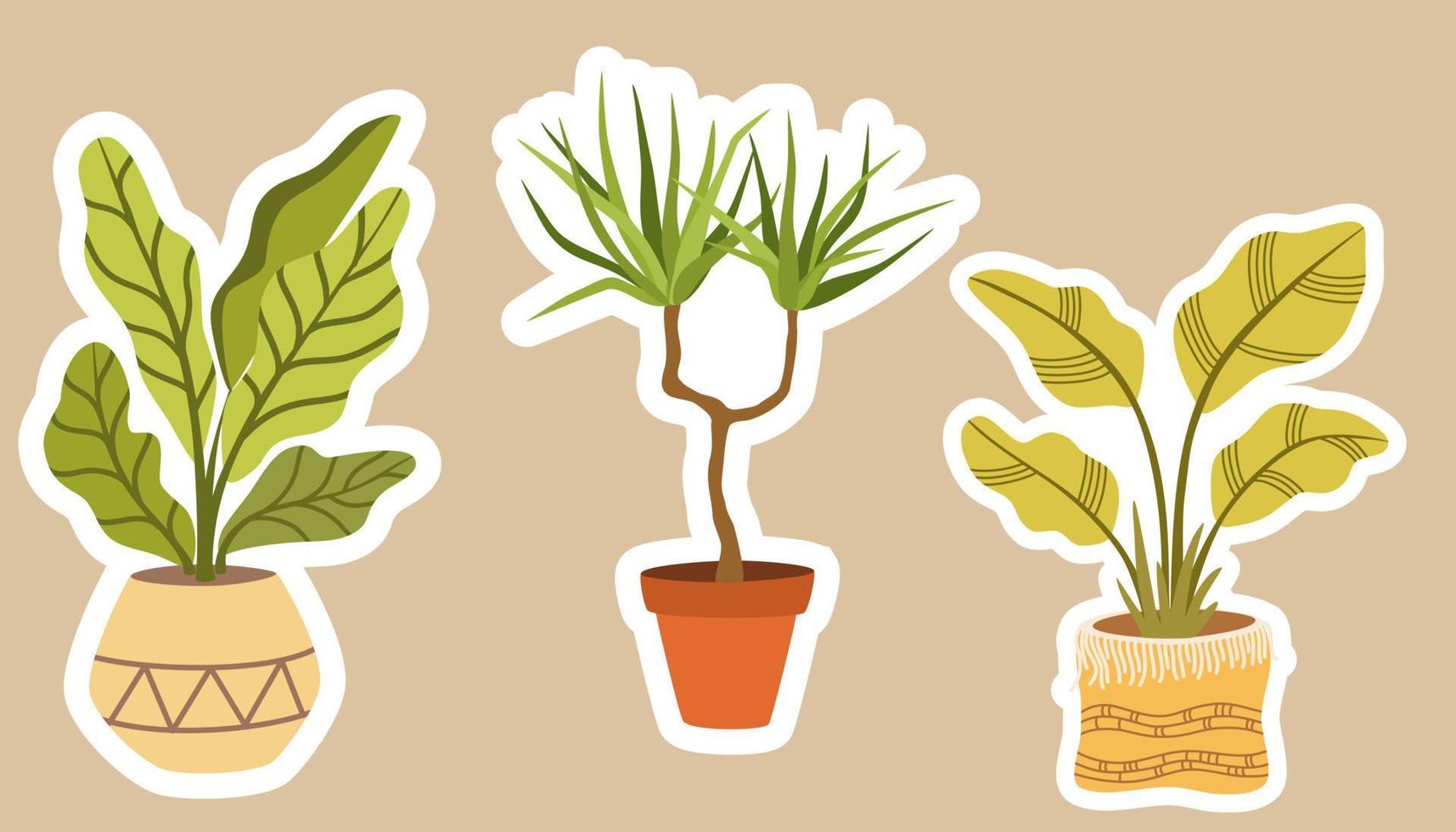 adesivos de plantas de casa. conjunto de adesivos de plantas suculentas de patê tropical hygge. coleção aconchegante estilo lagom de plantas em estilo cartoon. mão desenhar pacote vetorial. vetor