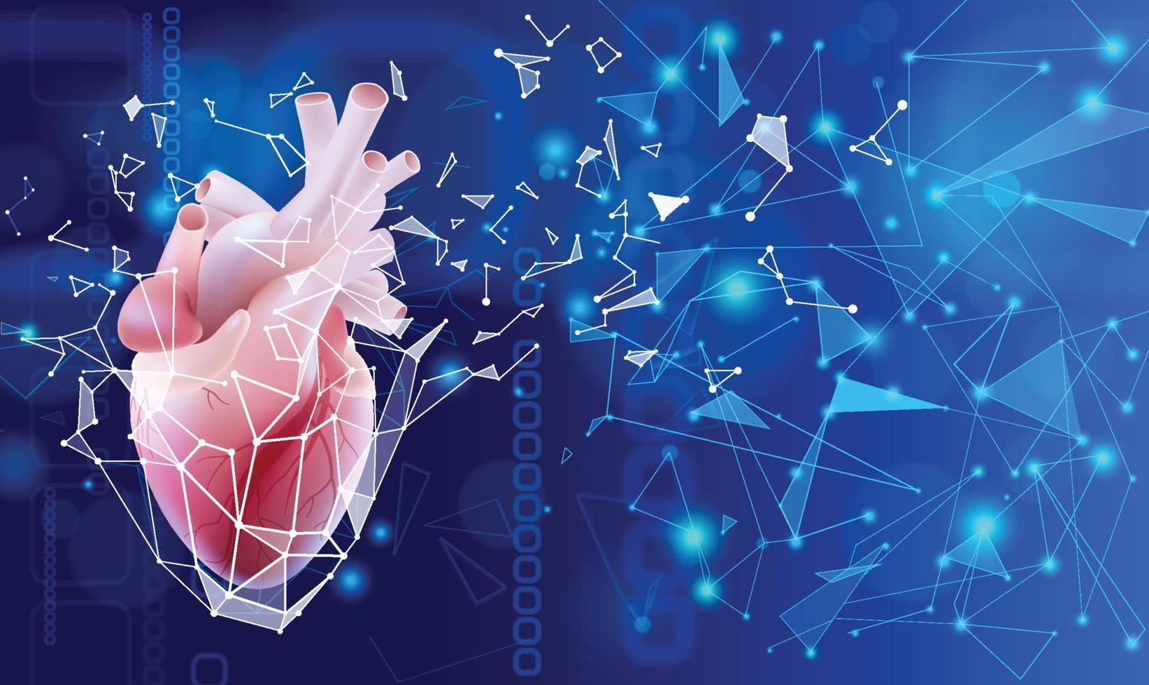 Ilustração 3D de um coração humano em um estilo realista com uma imagem de um bloco poli protetor externo isolado em um fundo azul. vetor