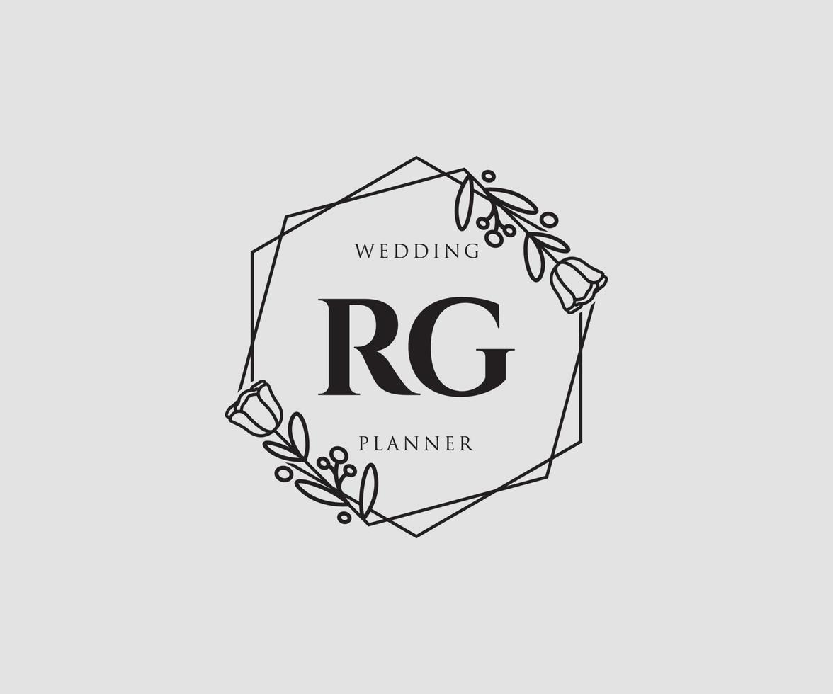 logo feminino inicial rg. utilizável para logotipos de natureza, salão, spa, cosméticos e beleza. elemento de modelo de design de logotipo de vetor plana.