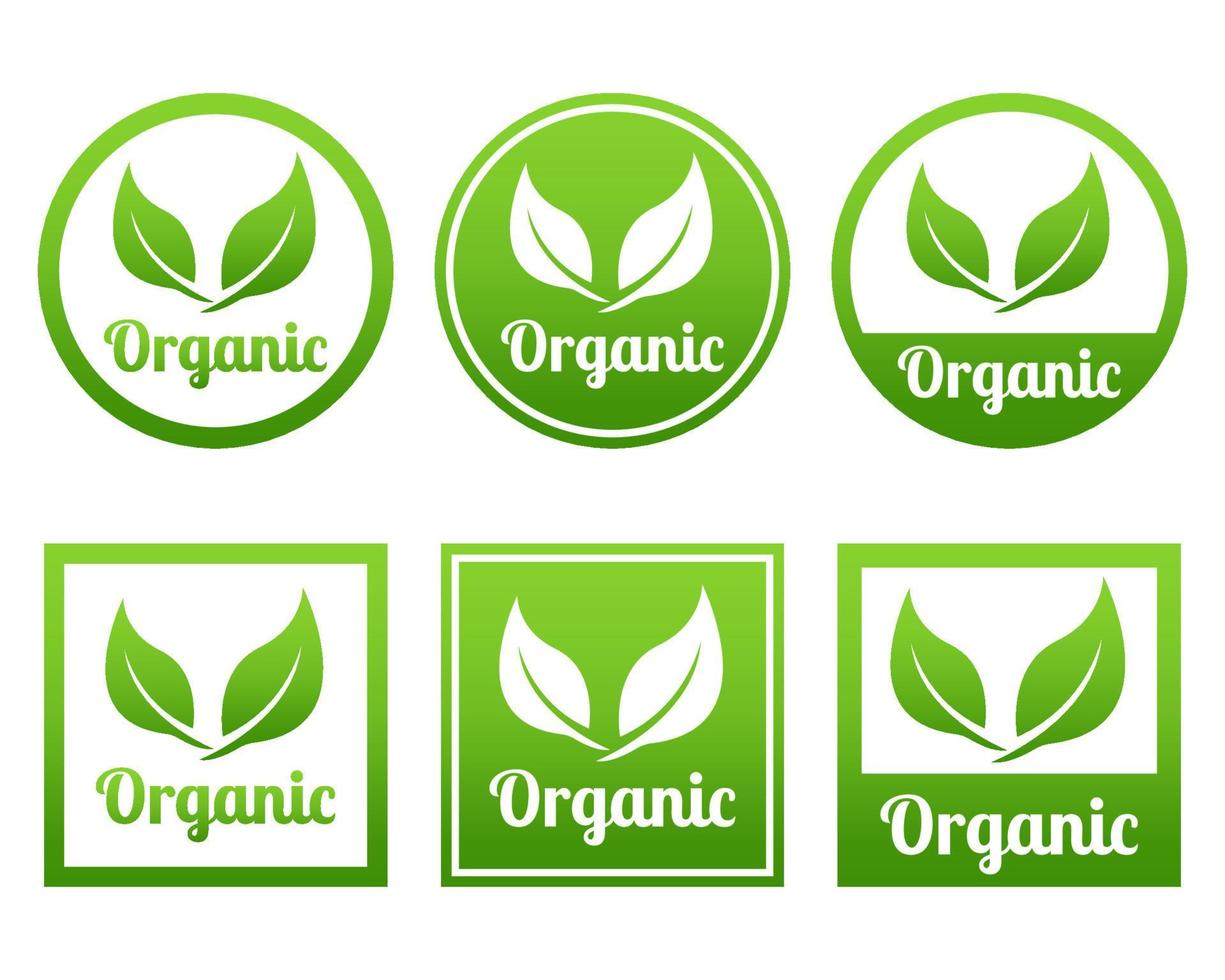 conjunto de crachás de etiquetas folhas orgânicas bio ecologia logotipo tags texto de design de modelo pode ser editado para produtos naturais alimentos e frutas vetor