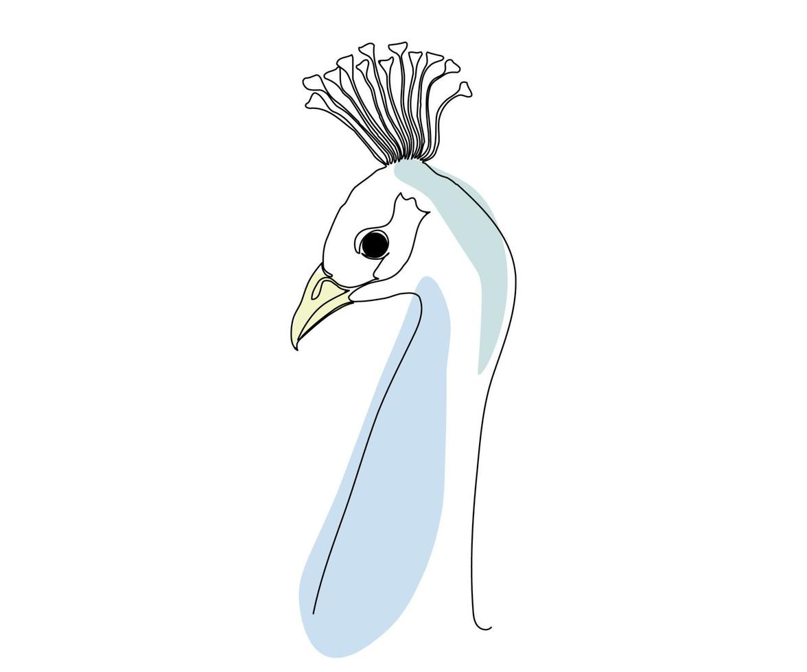 cabeça de pavão em estilo de arte de uma linha, desenhada à mão vetor