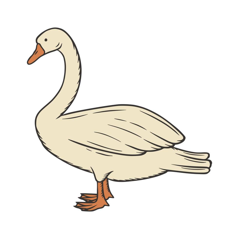 ilustração vetorial desenhada de mão de ganso de cisne vetor
