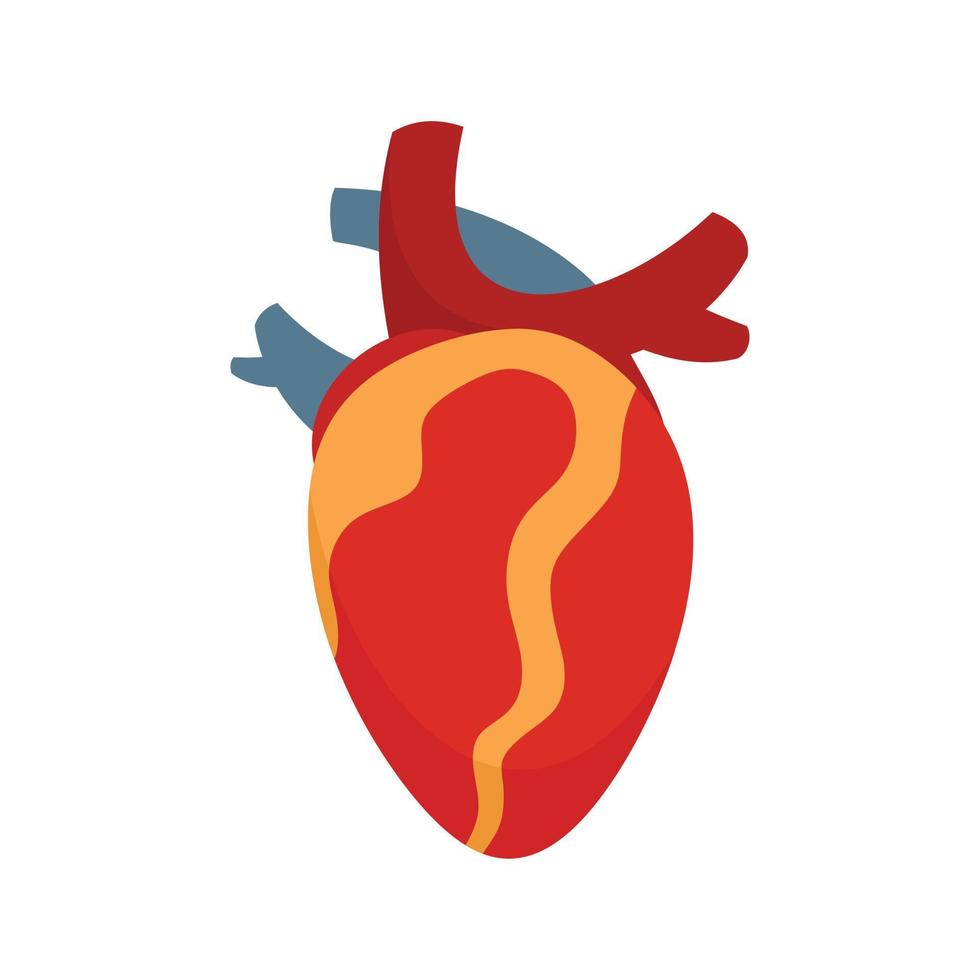ícone do coração humano anatomia plana vetor isolado