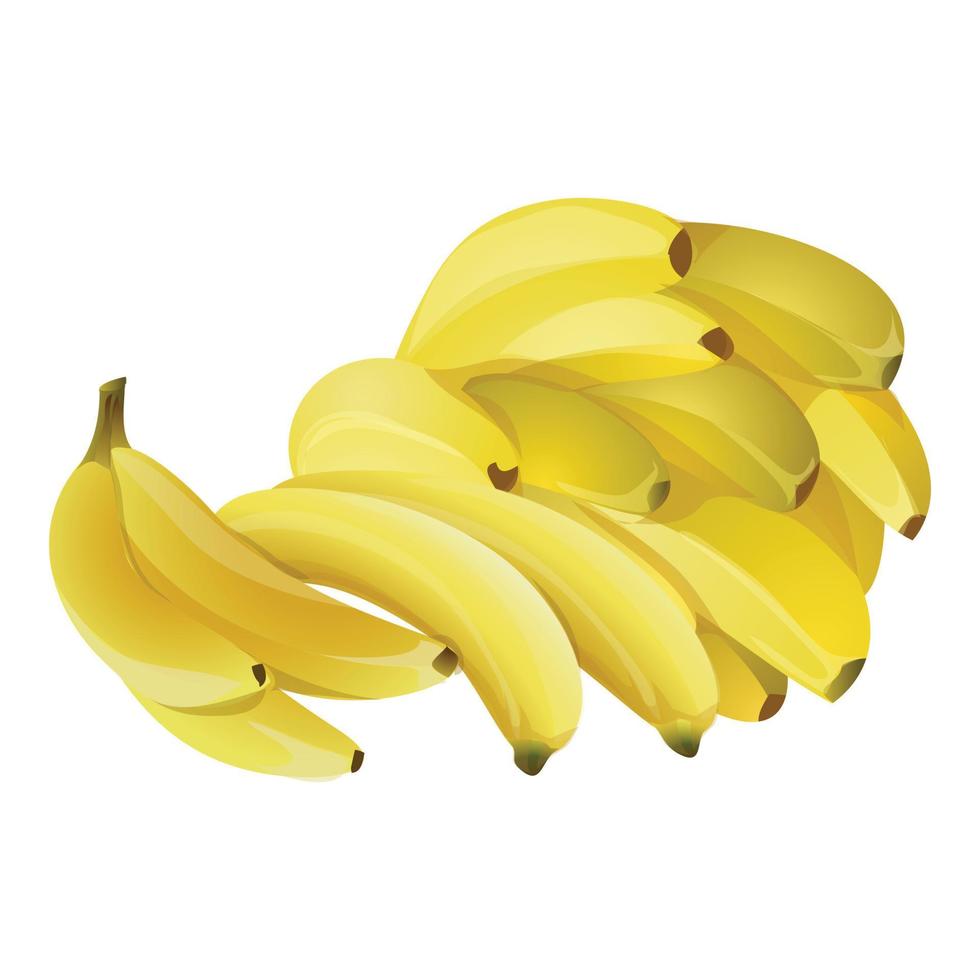 vetor de desenhos animados de ícone de bananas exóticas. fruta fresca