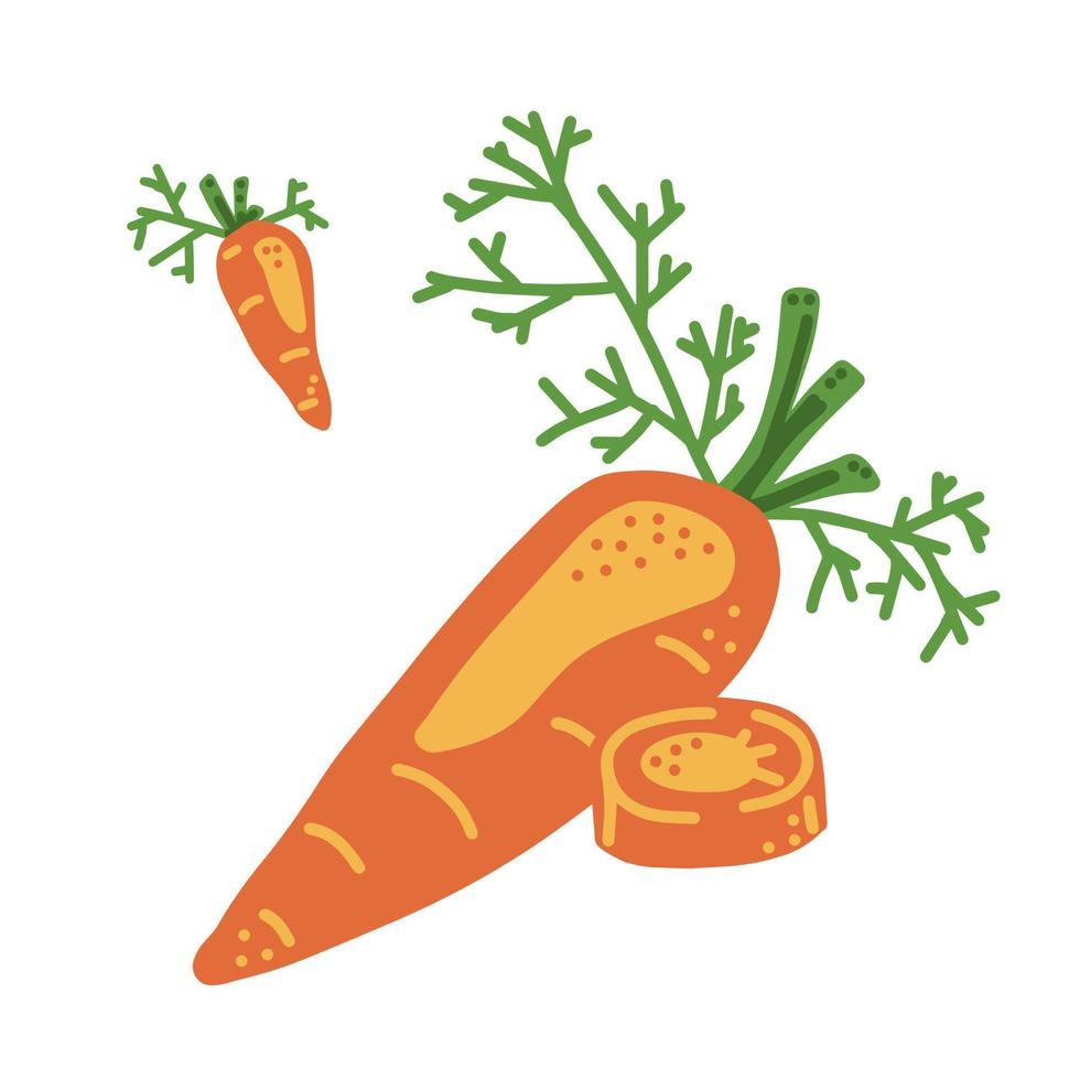 ilustração de desenho animado vegetal de cenoura vetor