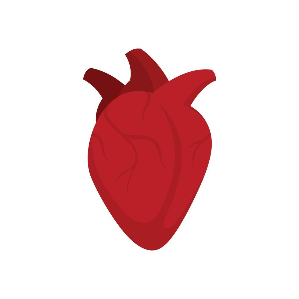 ícone de coração humano médico plano isolado vetor