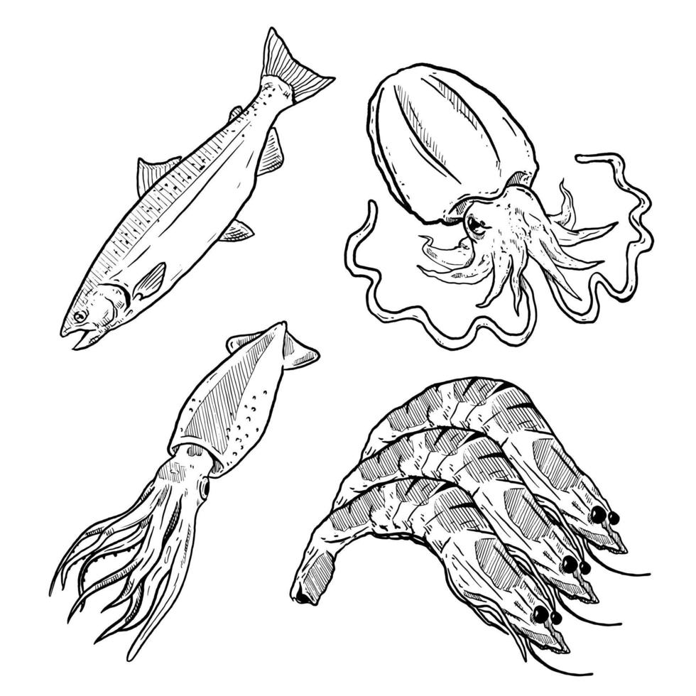 conjunto de esboço e elemento de frutos do mar desenhados à mão atum lula camarão vetor