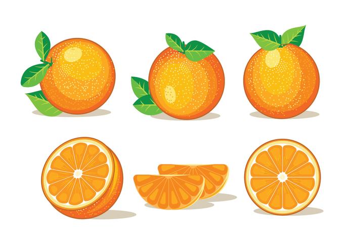 Conjunto de frutas isoladas clementina no fundo branco vetor