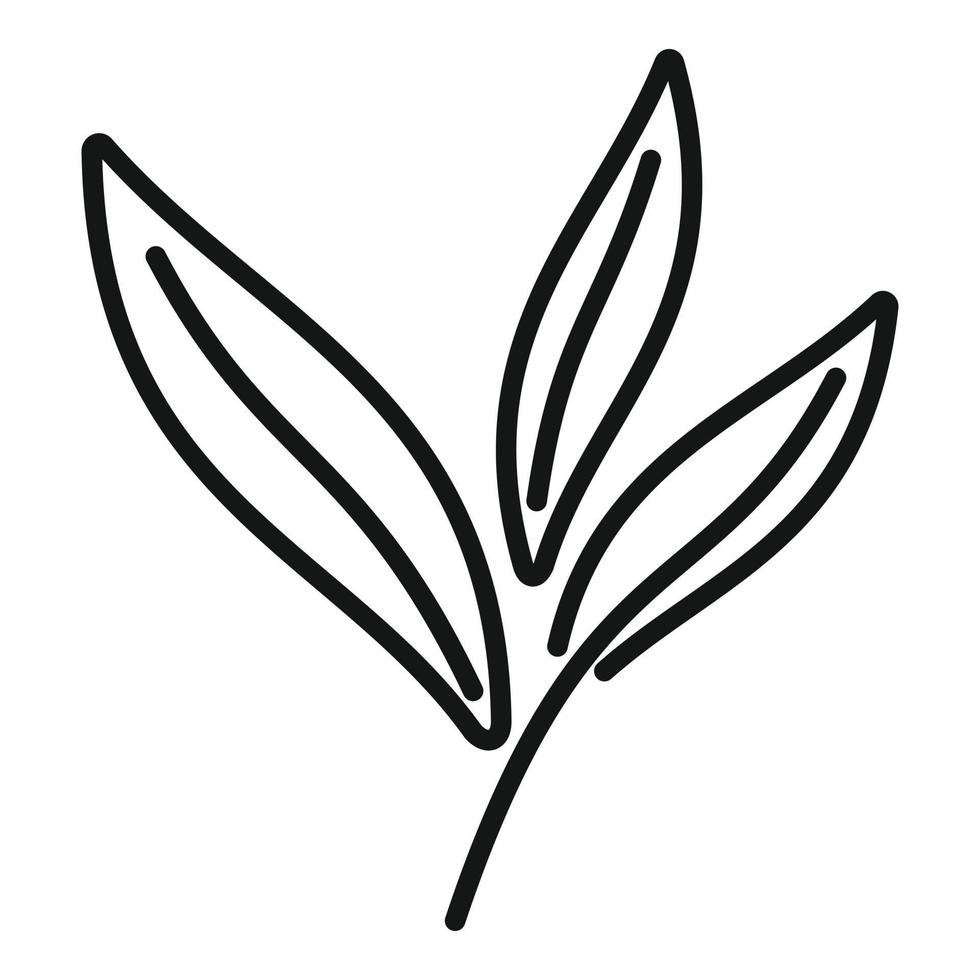 vetor de contorno de ícone de planta sálvia. folha de erva