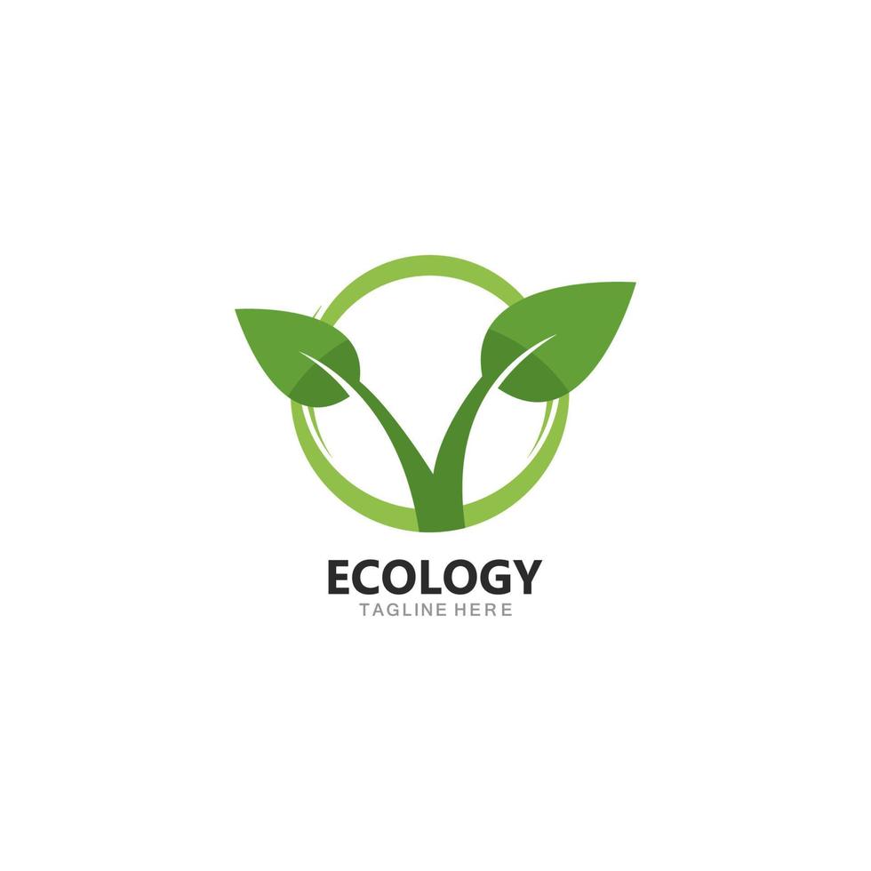 logotipo de folha de árvore ecológica vetor