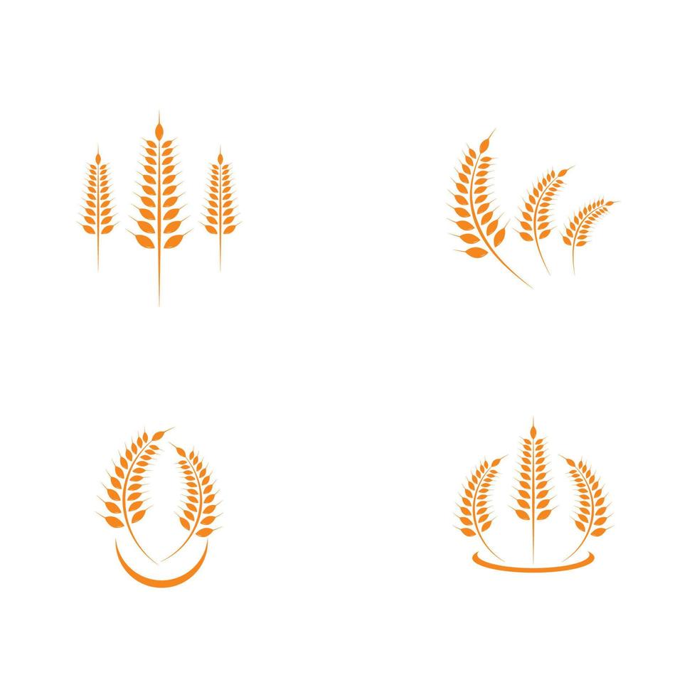 ícone de vetor de modelo de logotipo de trigo de agricultura