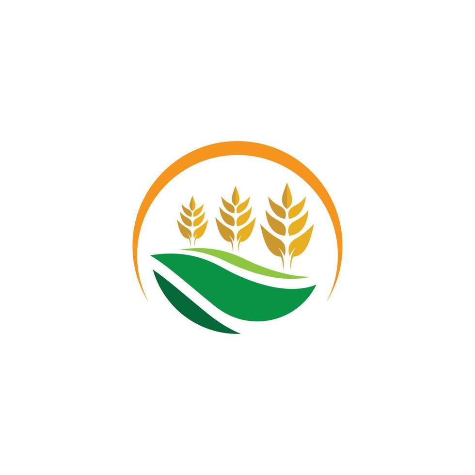 imagens de logotipo de agricultura de trigo vetor