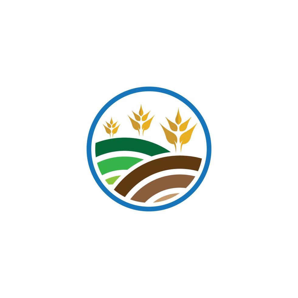 imagens de logotipo de agricultura de trigo vetor