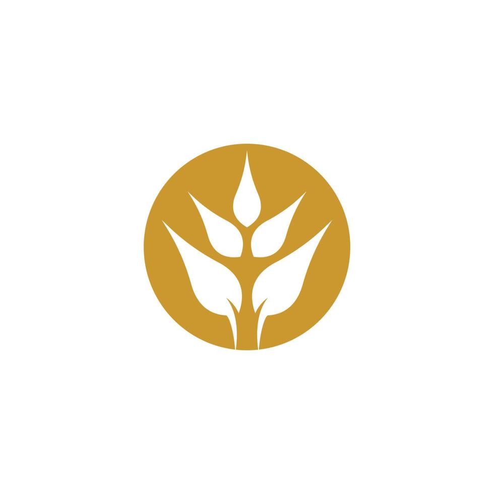 imagens do logotipo da wheat vetor