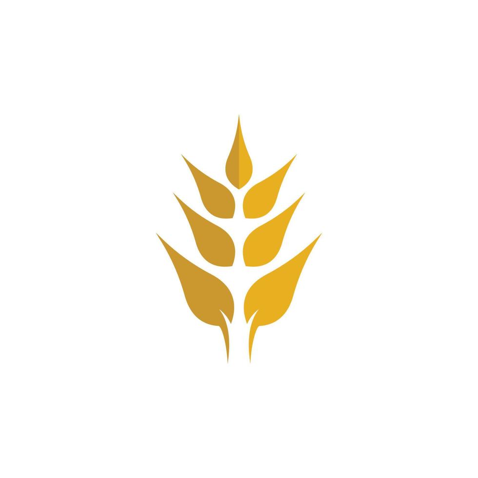 imagens do logotipo da wheat vetor