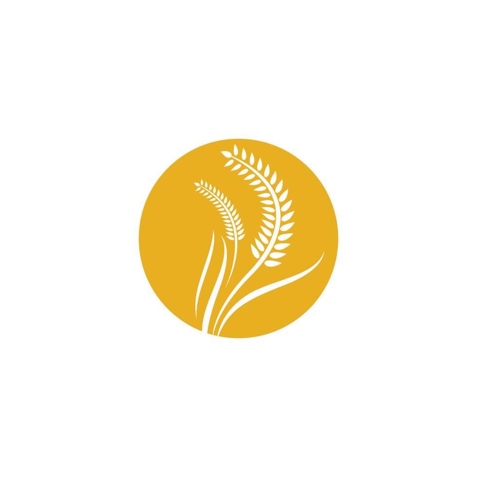 imagens do logotipo da wheat vetor