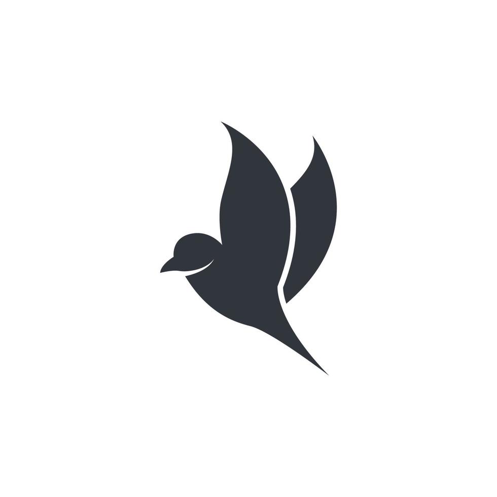 imagens do logotipo do pássaro vetor