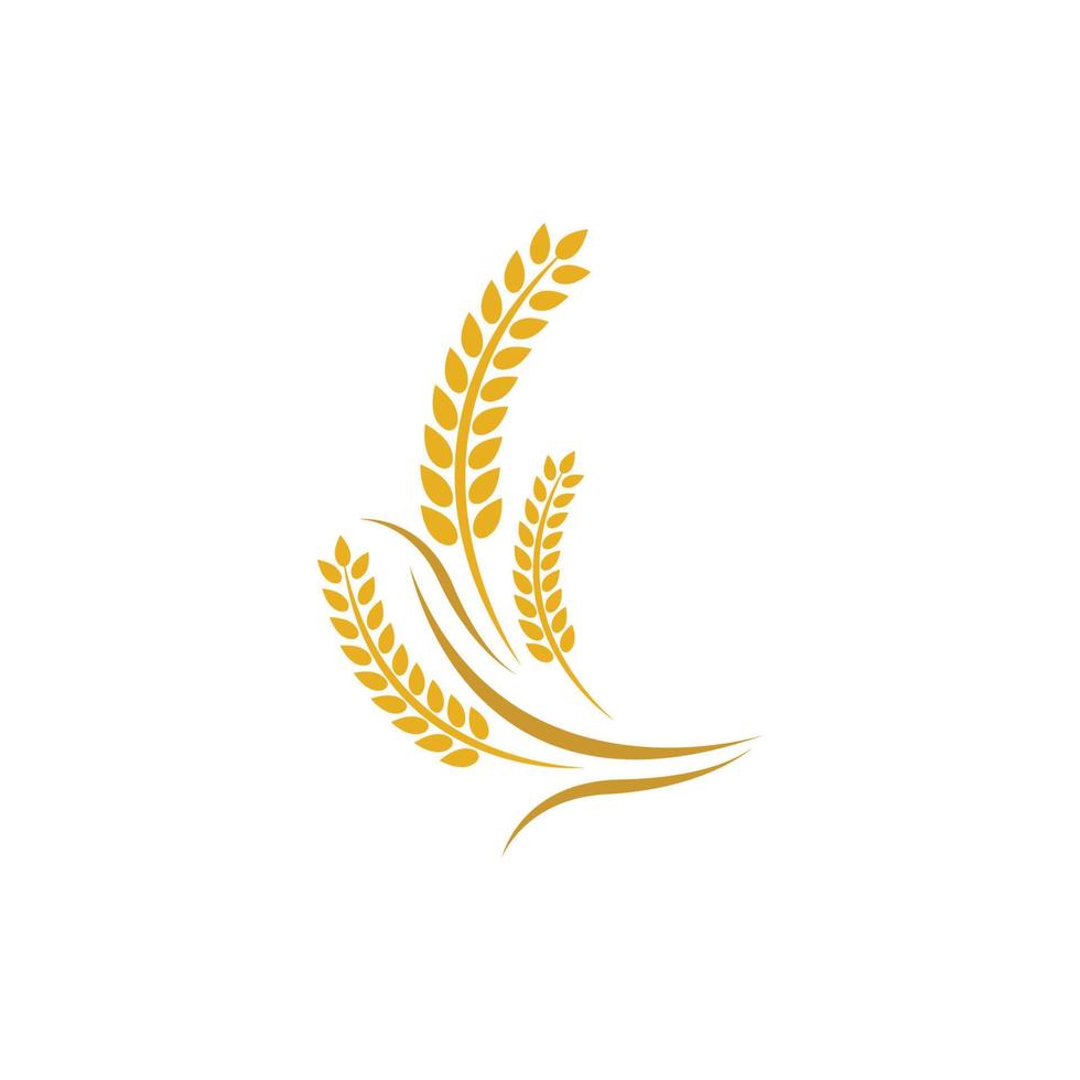 imagens do logotipo da wheat vetor