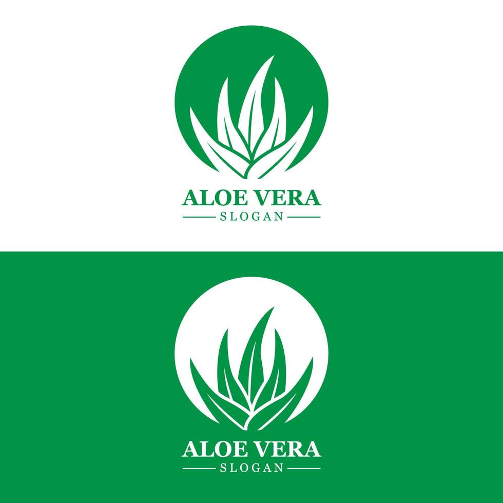 logotipo de aloe vera, vetor de folha de saúde, design adequado para salão de beleza, reciclagem orgânica, folha de saúde da pele