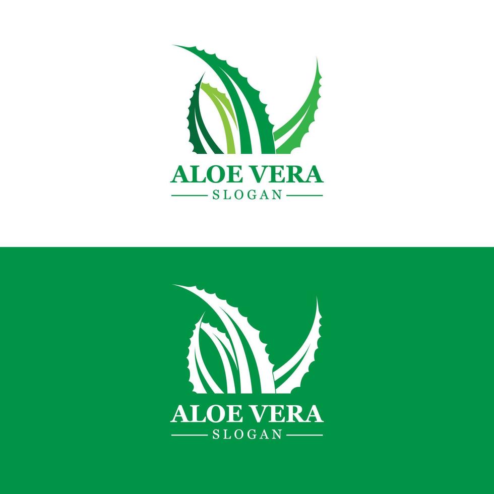 logotipo de aloe vera, vetor de folha de saúde, design adequado para salão de beleza, reciclagem orgânica, folha de saúde da pele