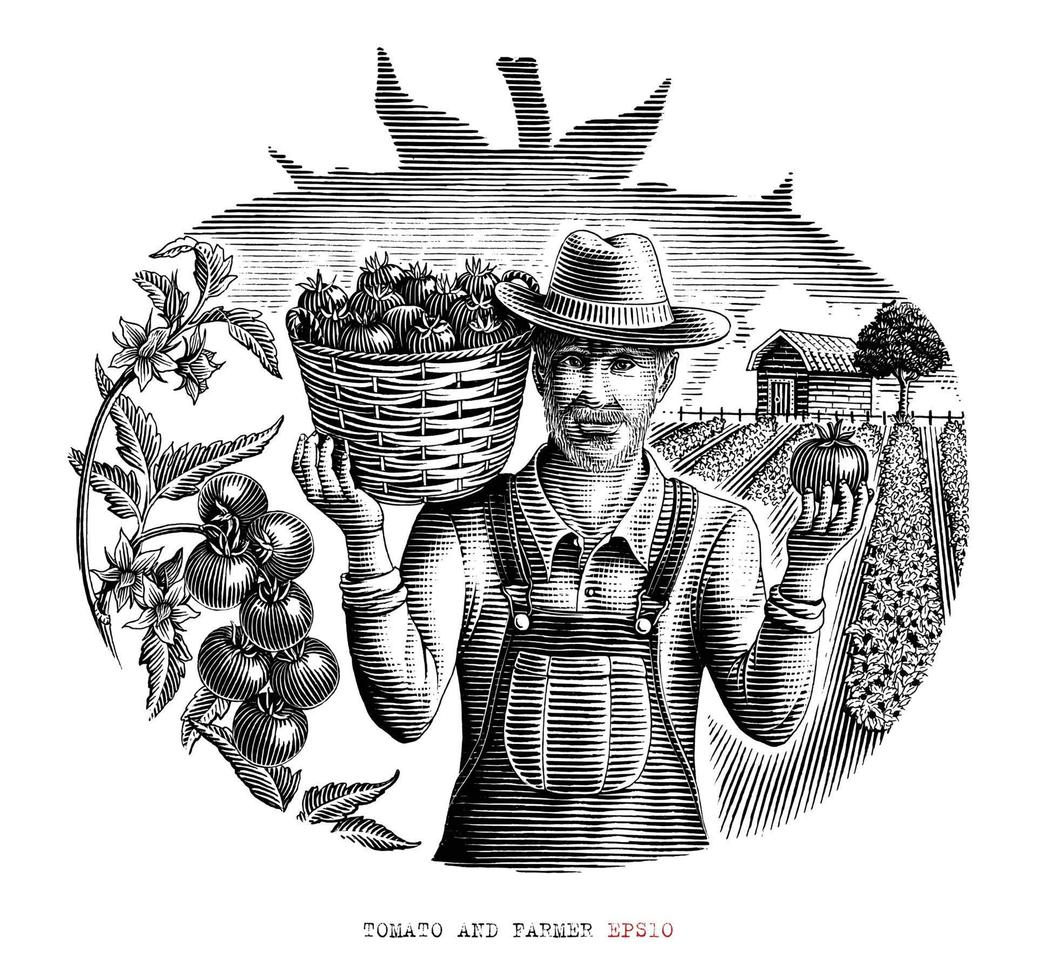 clipart de estilo de gravura vintage de tomate e fazendeiro vetor