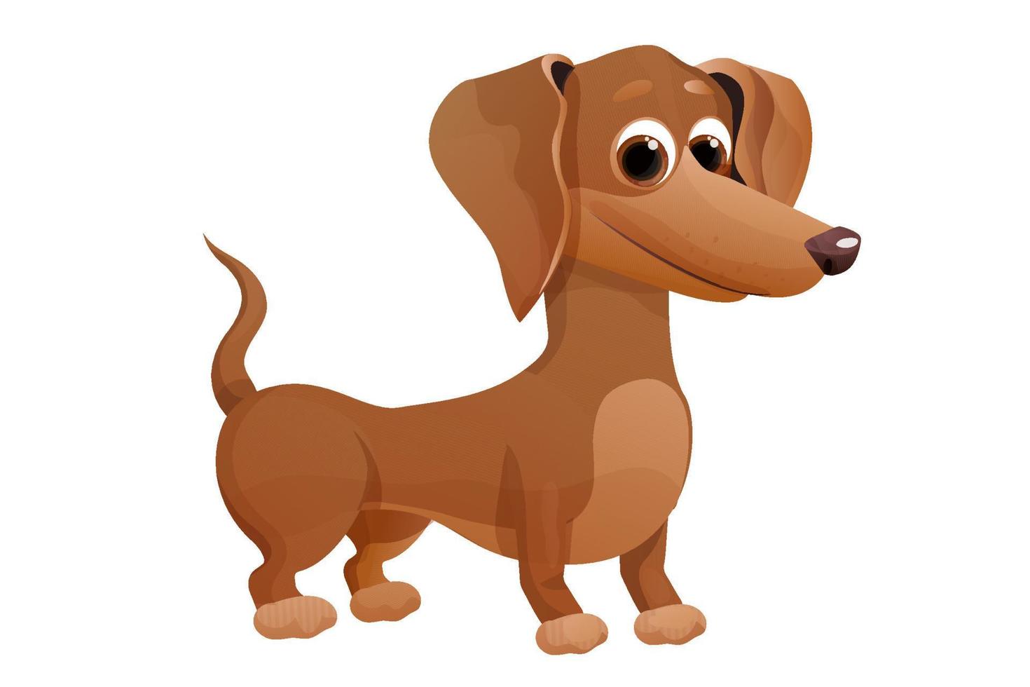 cachorrinho bassê bonito, de pé e sorrindo no estilo cartoon, personagem de animal de estimação brilhante isolado no fundo branco. ilustração vetorial vetor