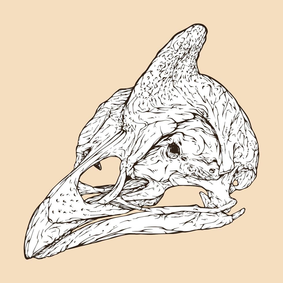 ilustração vetorial de cabeça de crânio de galinha d'angola com capacete vetor