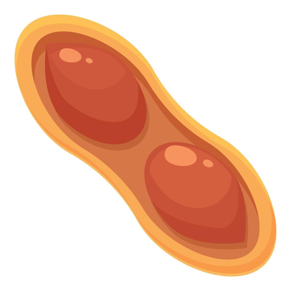 vetor de desenhos animados de ícone de amendoim duplo. manteiga de caramelo