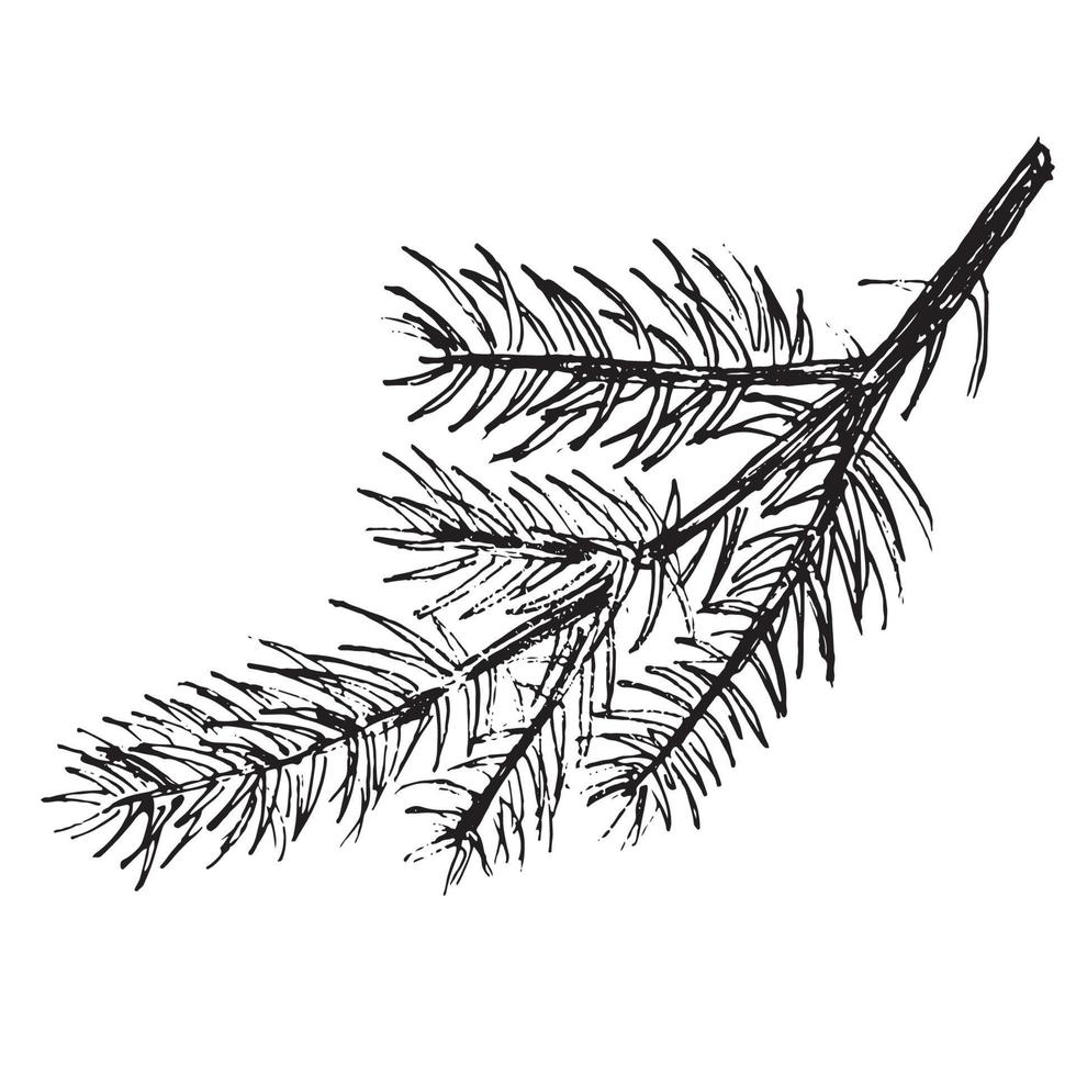 ilustrações de ramos em estilo de tinta de arte vetor