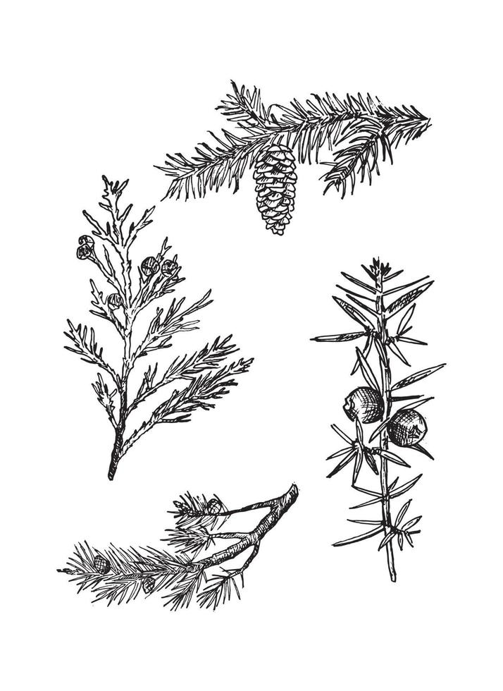 ilustrações de ramos em estilo de tinta de arte vetor