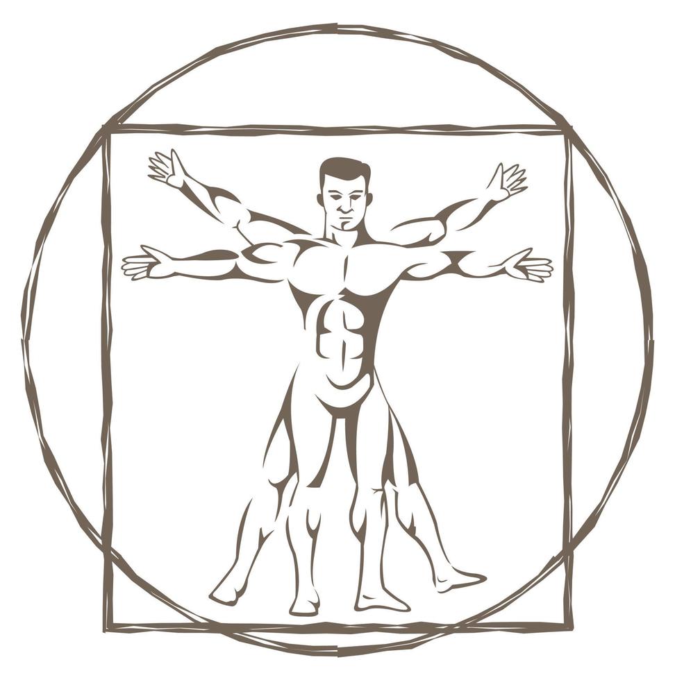 ilustração homem vitruviano vetor