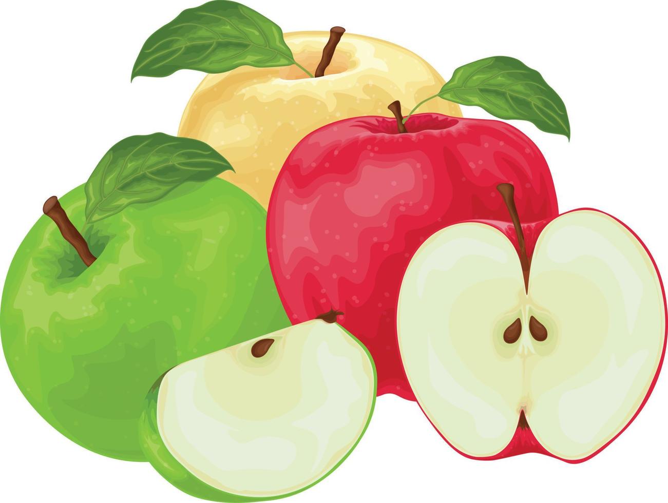 maçãs. uma imagem de maçãs de cores diferentes. maçã verde e amarela vermelha. uma coleção de três maçãs. ilustração vetorial isolada em um fundo branco vetor