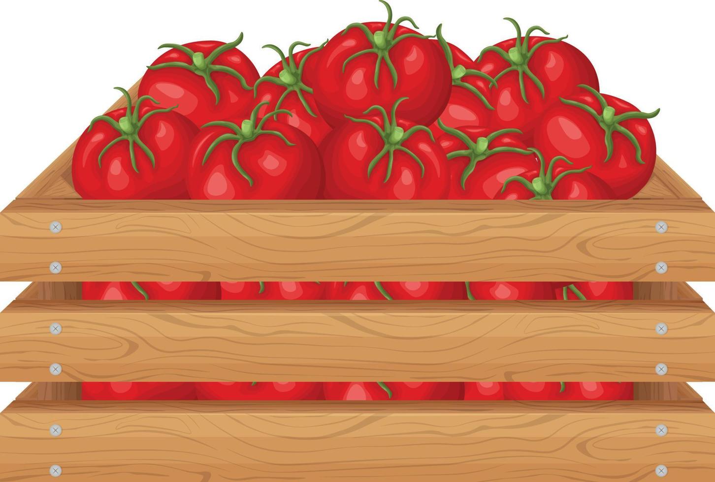 uma caixa de tomates. tomates vermelhos maduros em uma caixa de madeira. legumes em uma caixa de madeira. ilustração vetorial isolada em um fundo branco vetor