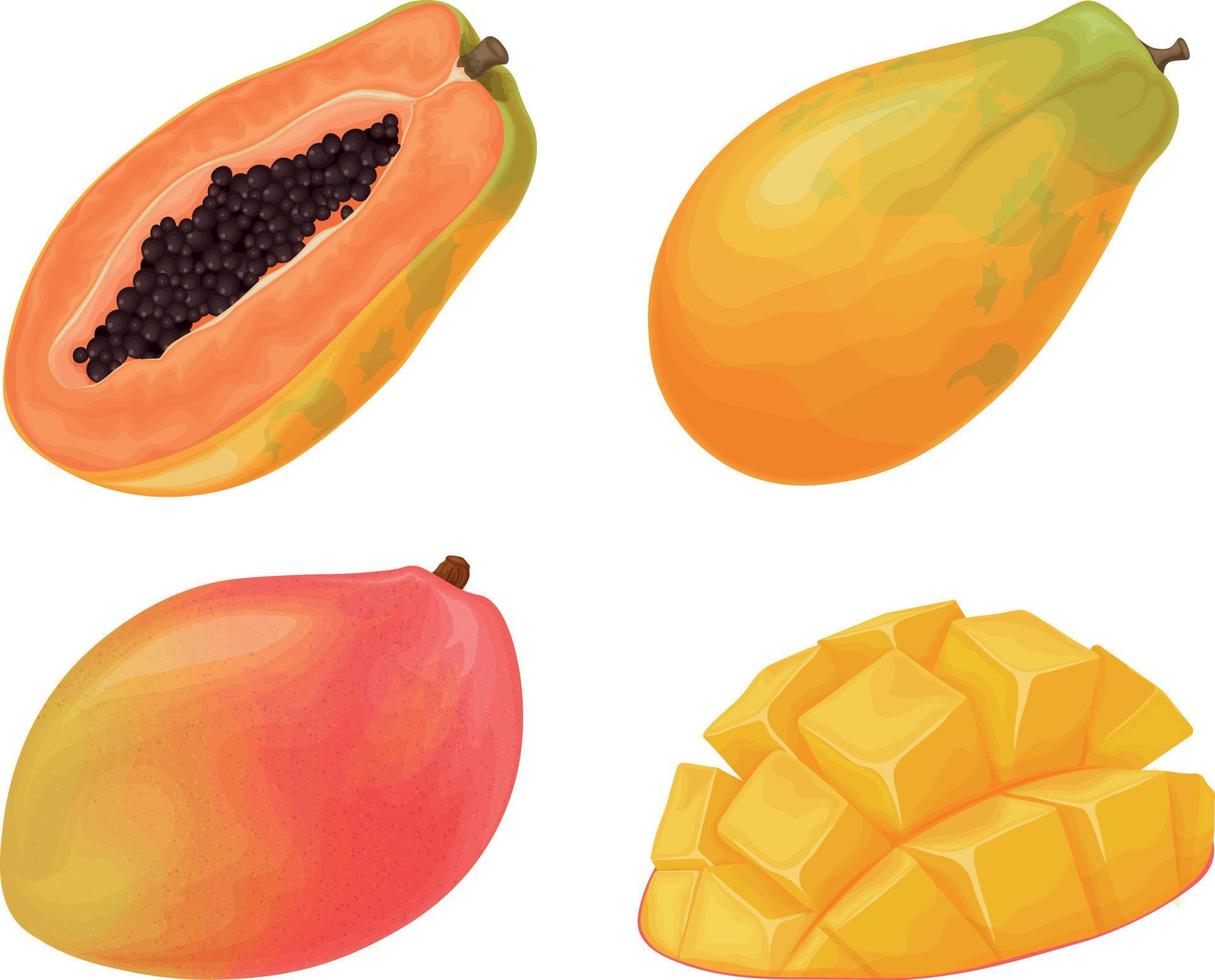 manga e mamão. frutas exóticas. manga madura. mamão suculento. frutas tropicais. ilustração vetorial vetor