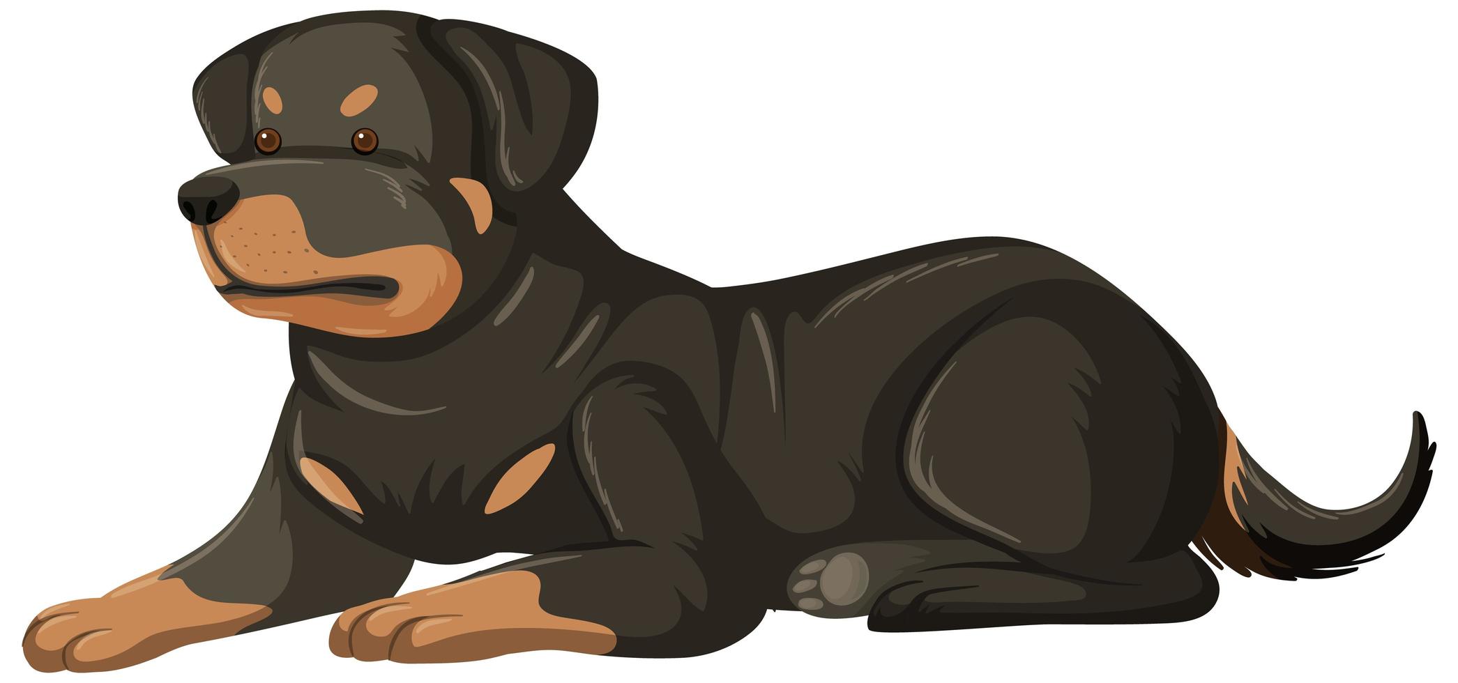 estilo de desenho de rottweiler em fundo branco vetor