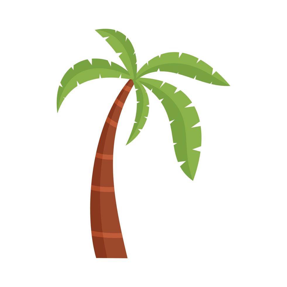vetor plano isolado do ícone da palmeira