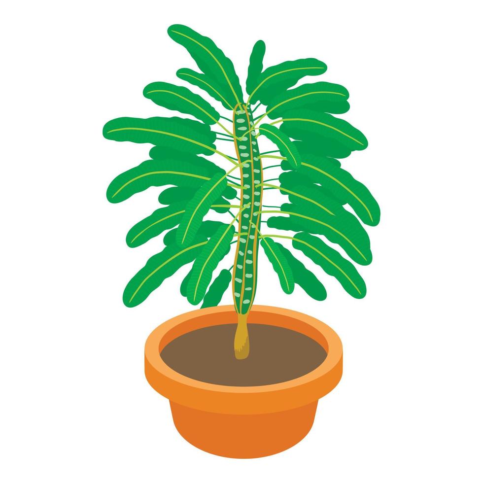ícone da planta euphorbia, estilo cartoon vetor