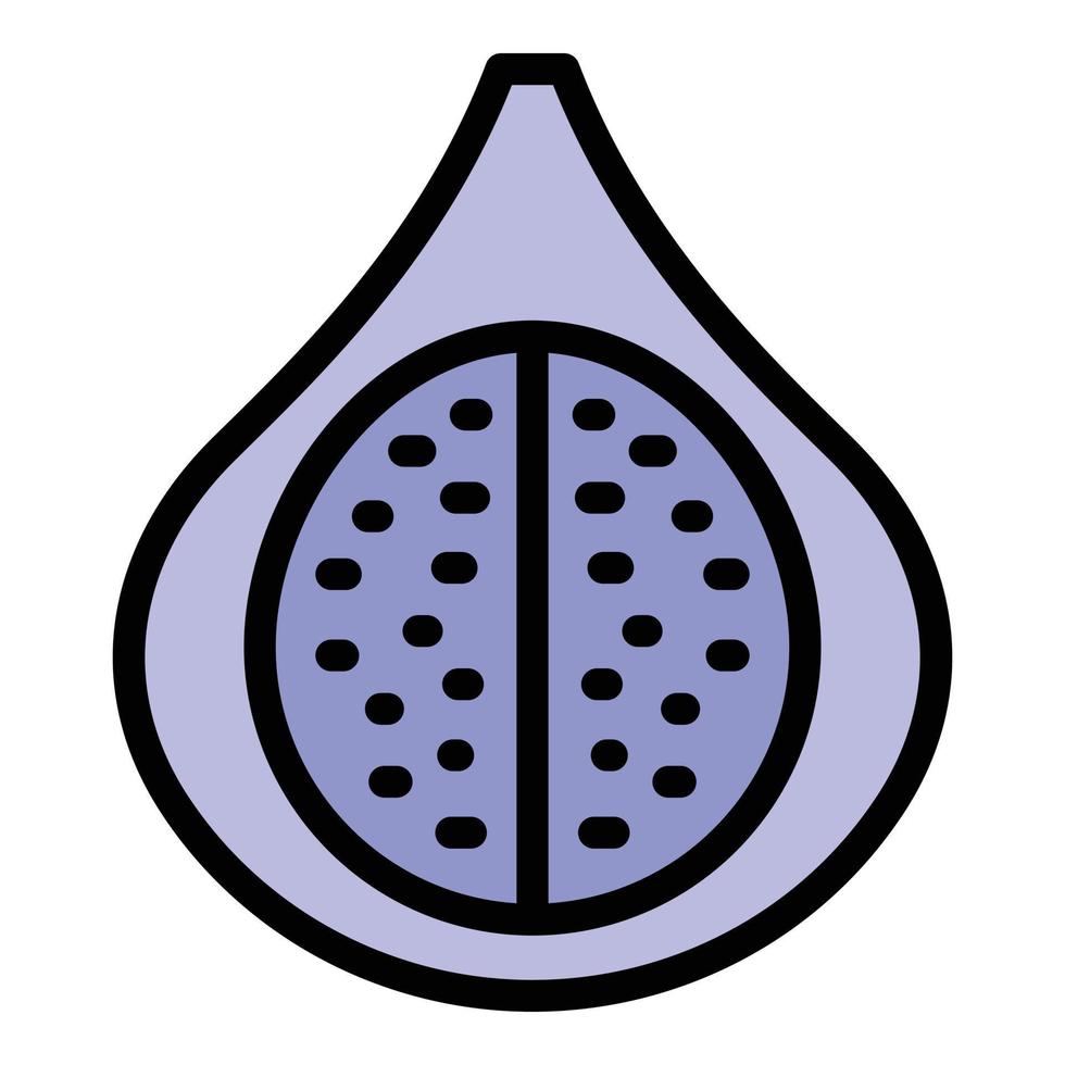 vetor de contorno de cor de ícone de figo orgânico