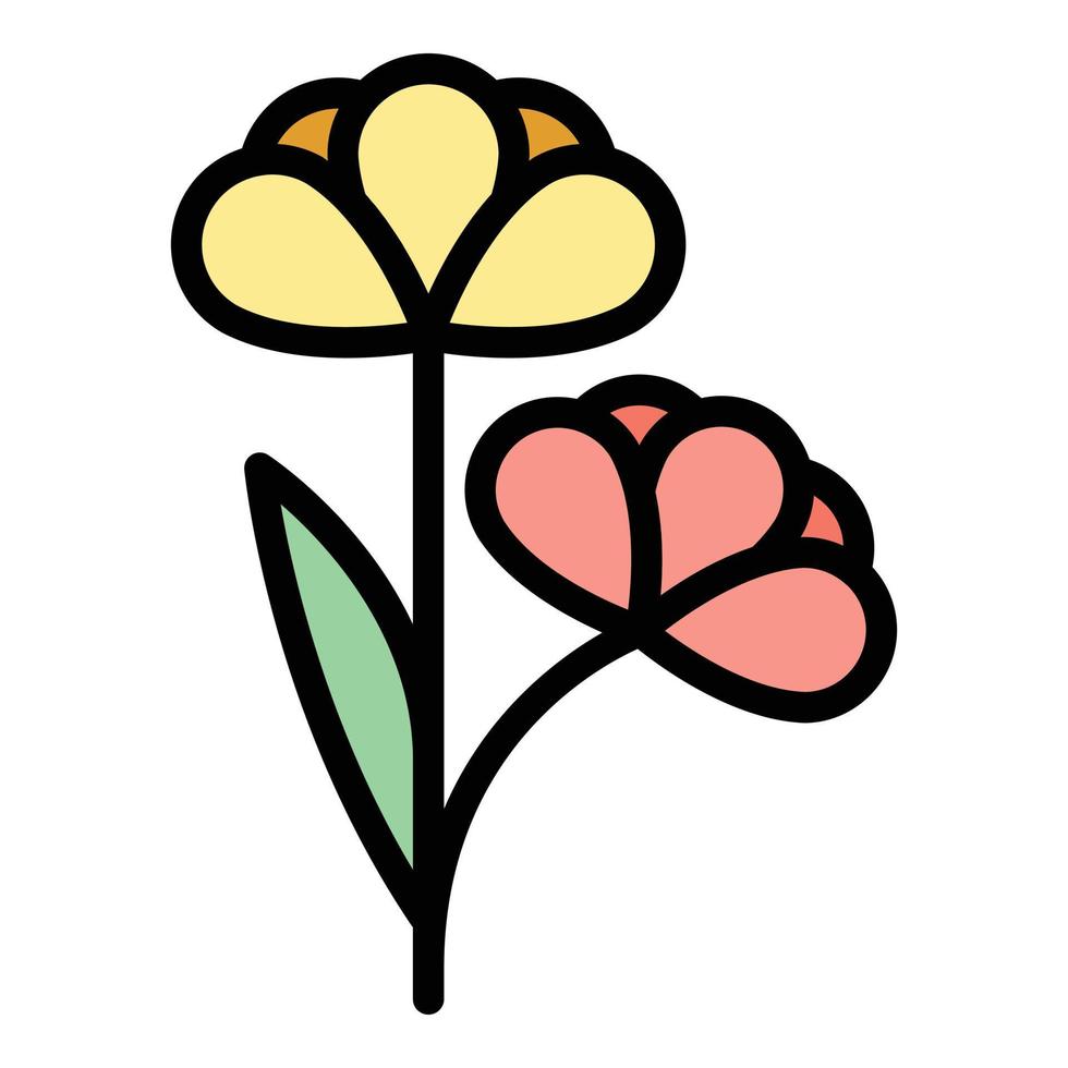 vetor de contorno de cor de ícone de flor de canola bio