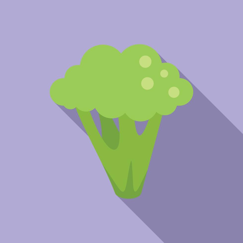 vetor plano de ícone de brócolis de dieta. repolho brócolis